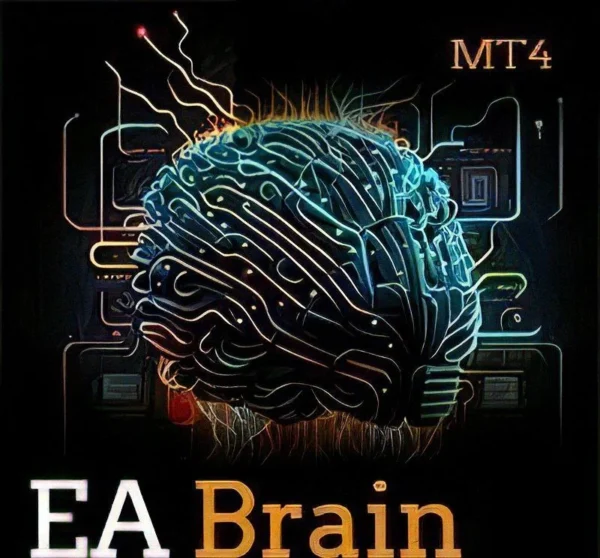 Amazing Brain